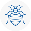 Bed Bug Extermination In April