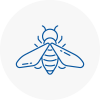 Bee Nest Removal April
