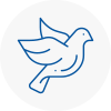 Bird Prevention April
