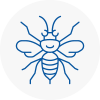 April Hornet Nest Removals
