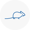 Mice Exterminators In April