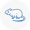 Rat Control April