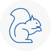 April Rodent Removals