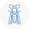 April Wasp Nest Removal